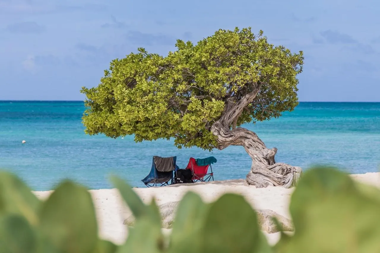 Dushi Getaway For Adults Only Downtown Lejlighed Oranjestad Aruba