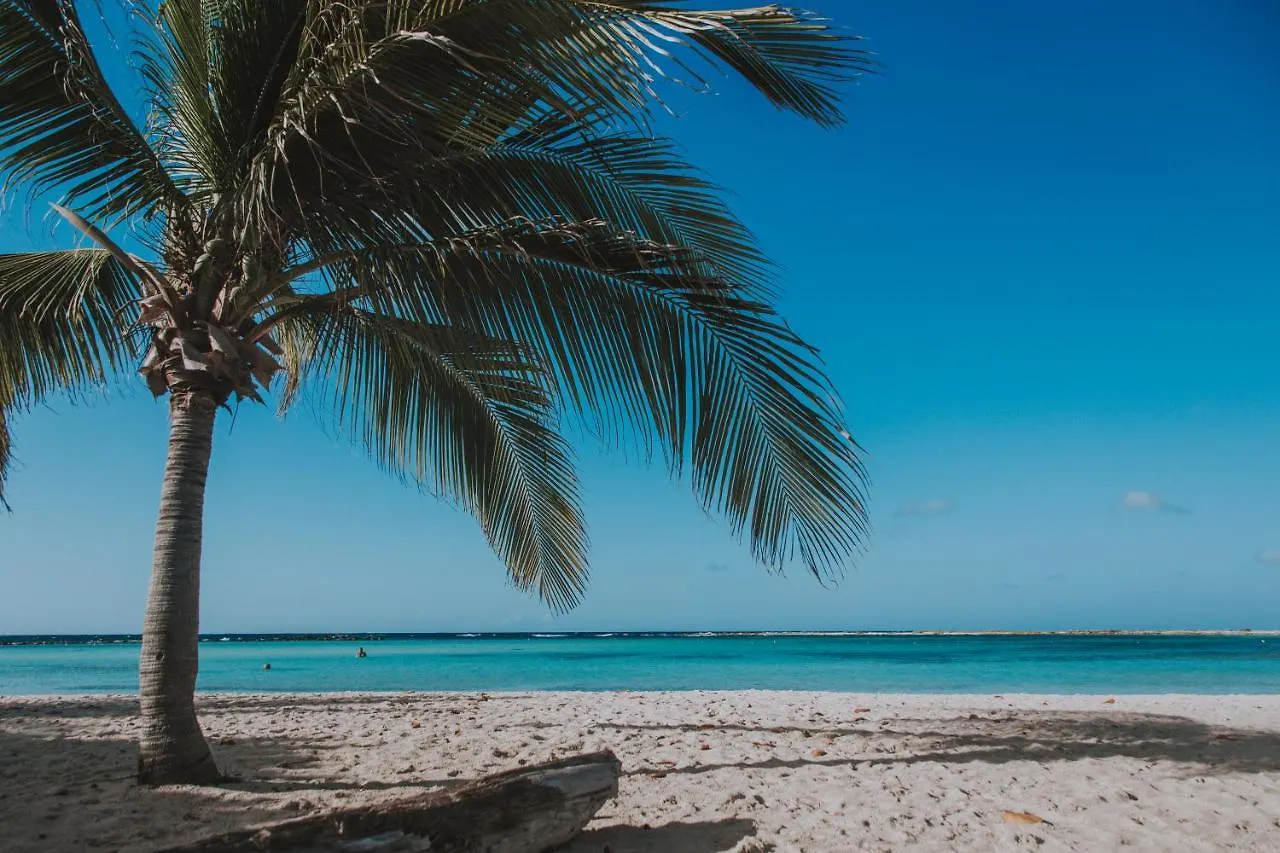 Dushi Getaway For Adults Only Downtown Lejlighed Oranjestad 0*,  Aruba